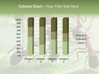 Insects Ant Goal PowerPoint Template