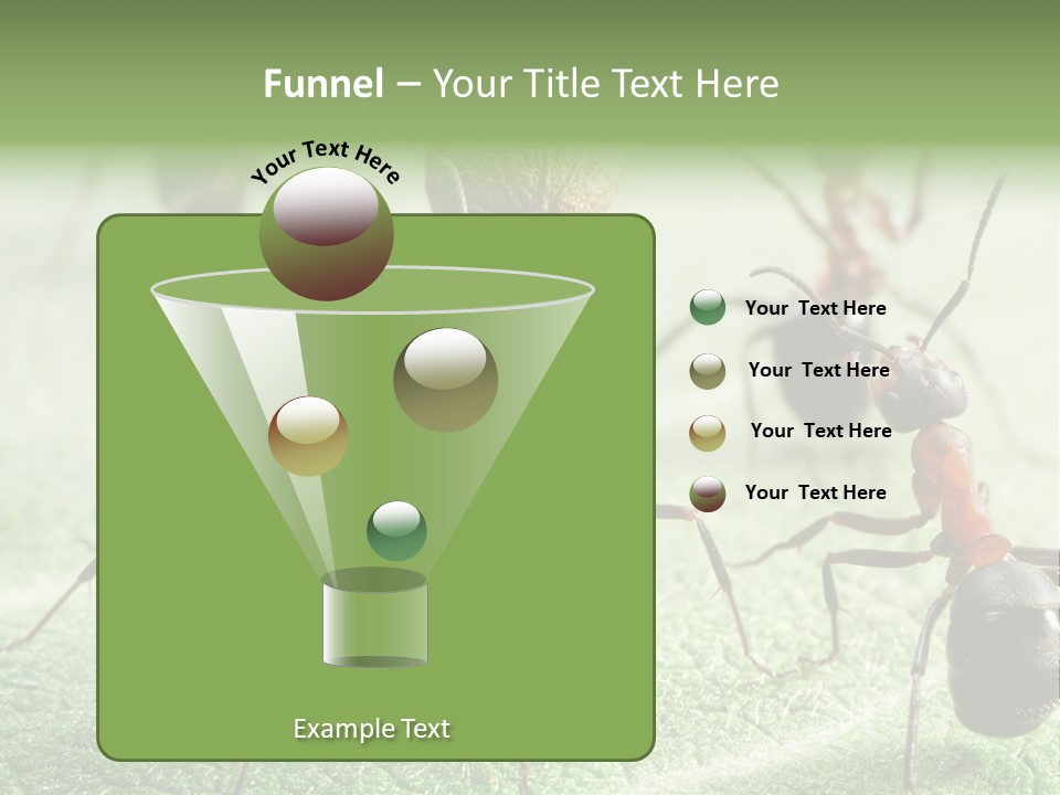 Insects Ant Goal PowerPoint Template