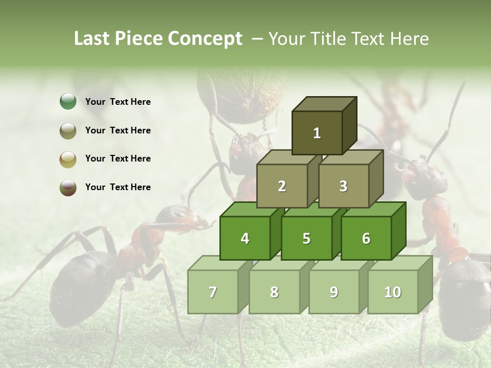 Insects Ant Goal PowerPoint Template