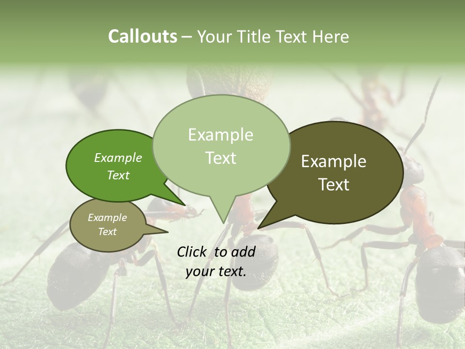 Insects Ant Goal PowerPoint Template