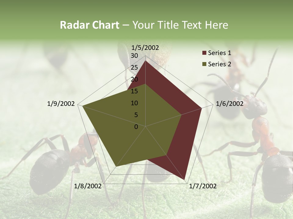 Insects Ant Goal PowerPoint Template
