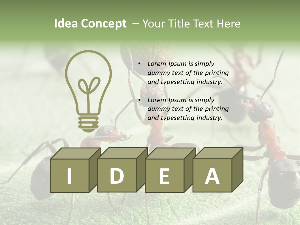 Insects Ant Goal PowerPoint Template