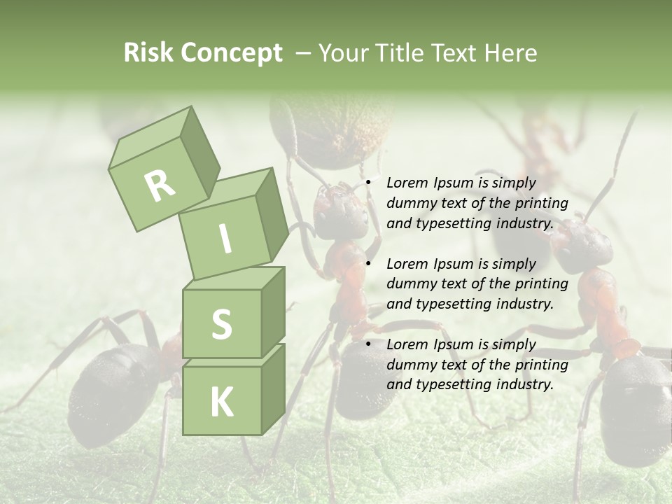 Insects Ant Goal PowerPoint Template