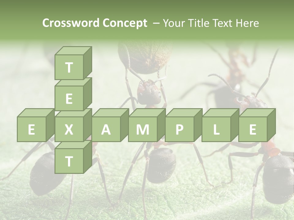 Insects Ant Goal PowerPoint Template