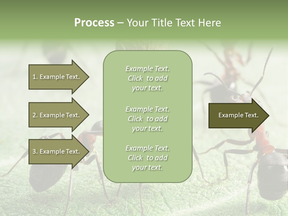 Insects Ant Goal PowerPoint Template