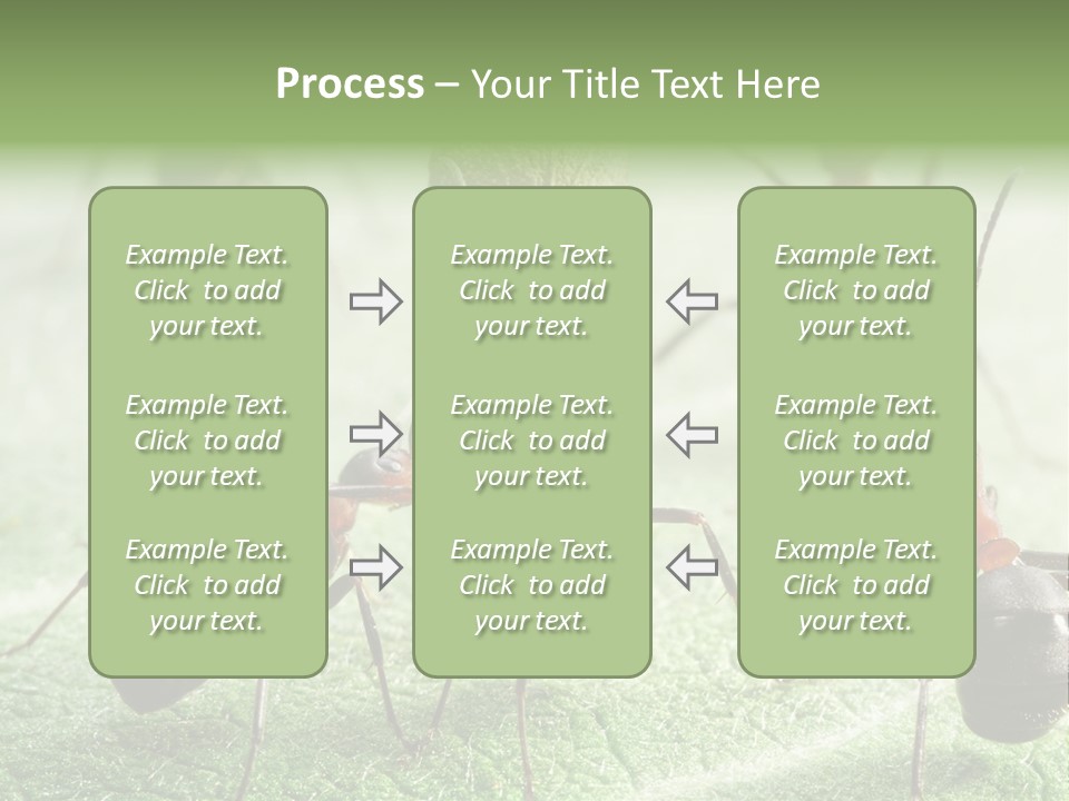 Insects Ant Goal PowerPoint Template