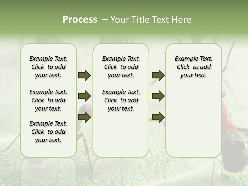 Insects Ant Goal PowerPoint Template
