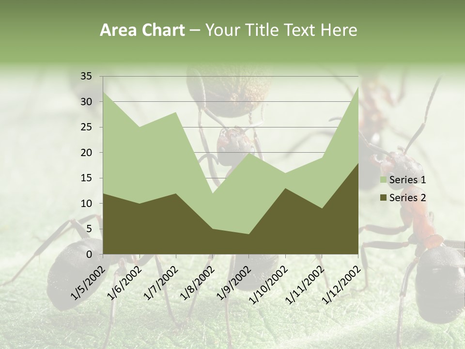 Insects Ant Goal PowerPoint Template