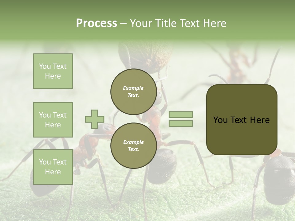 Insects Ant Goal PowerPoint Template