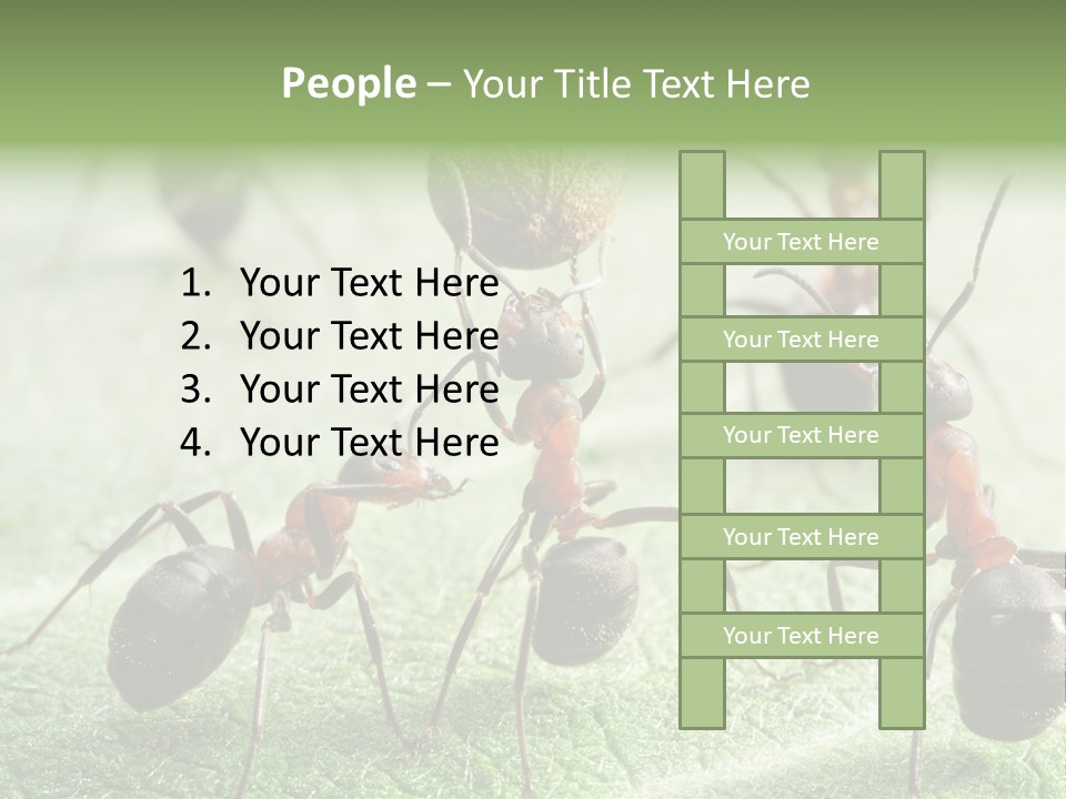Insects Ant Goal PowerPoint Template