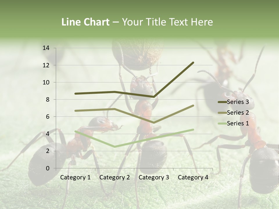 Insects Ant Goal PowerPoint Template