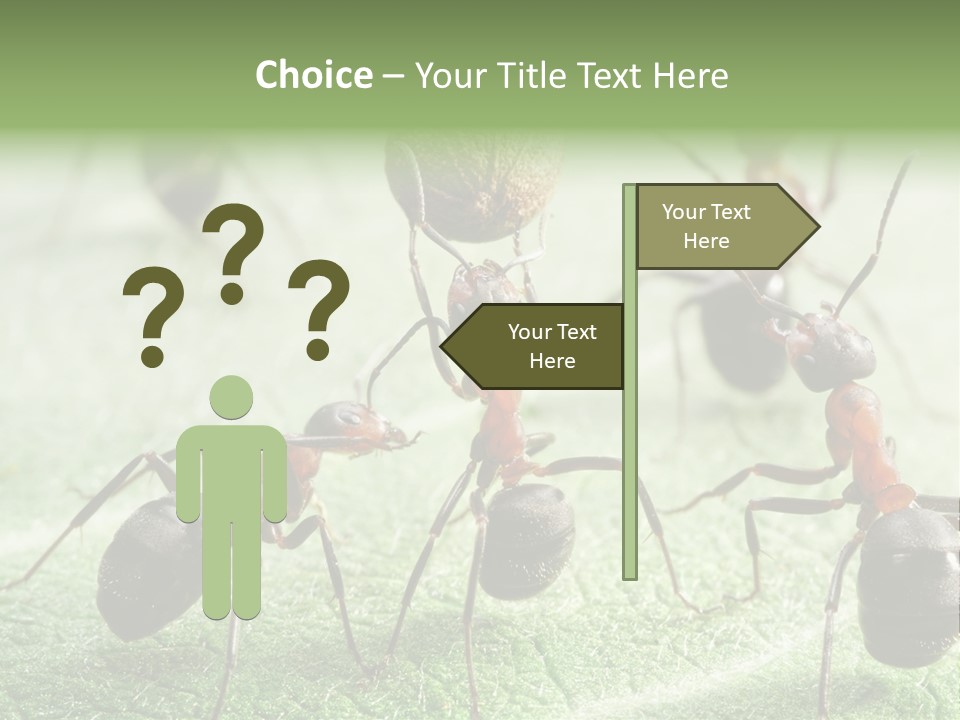 Insects Ant Goal PowerPoint Template