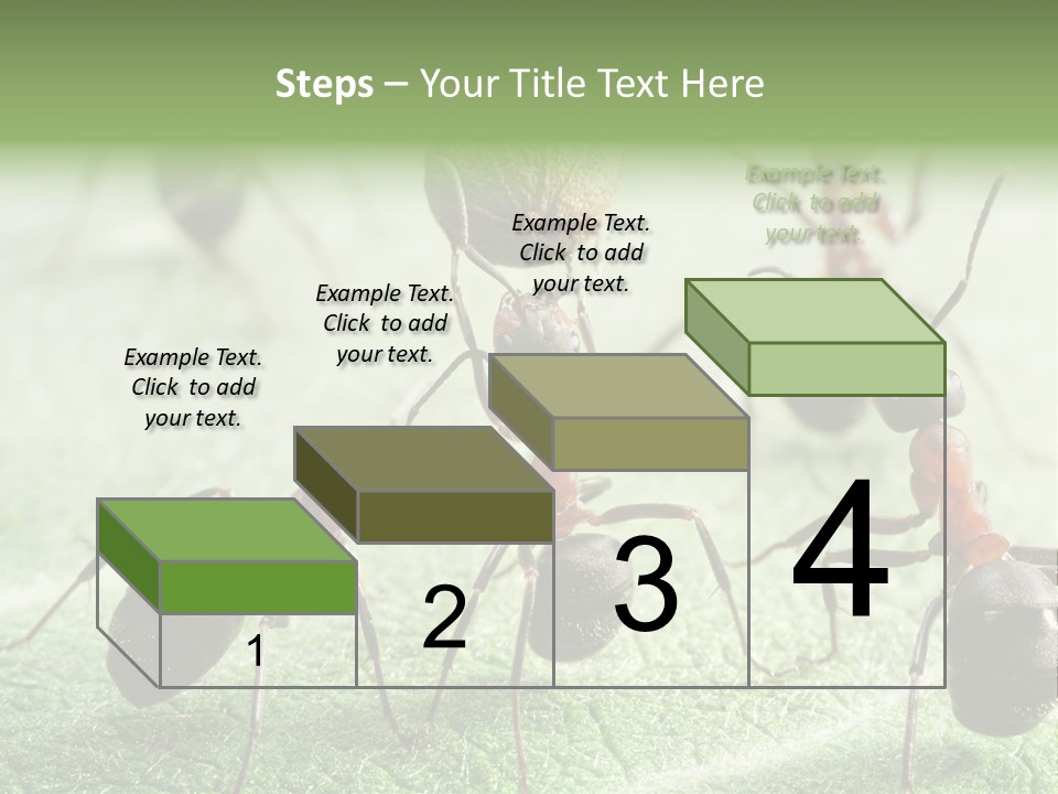 Insects Ant Goal PowerPoint Template