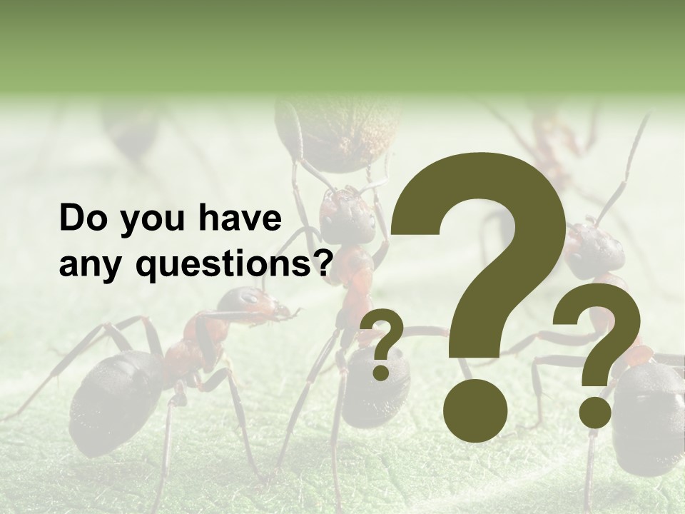 Insects Ant Goal PowerPoint Template