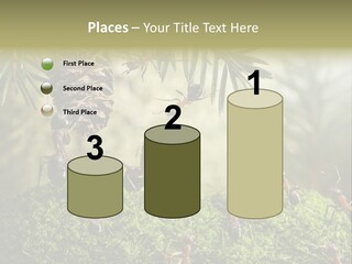 Fur Swear Tales PowerPoint Template