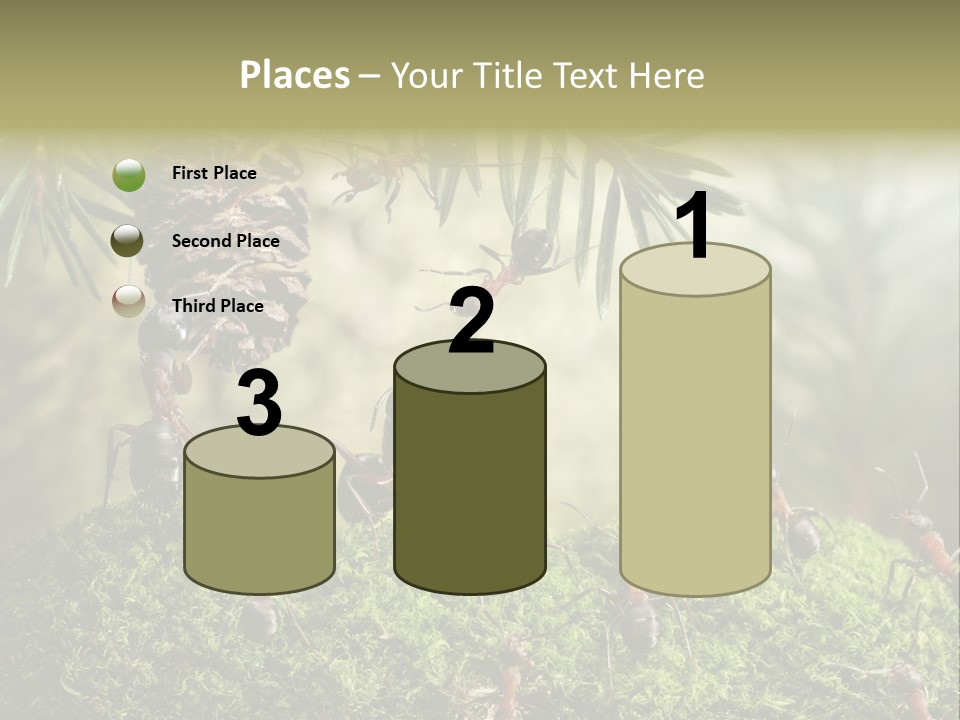 Fur Swear Tales PowerPoint Template