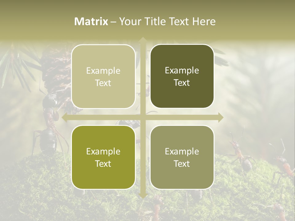 Fur Swear Tales PowerPoint Template