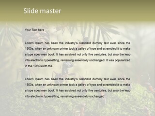 Fur Swear Tales PowerPoint Template