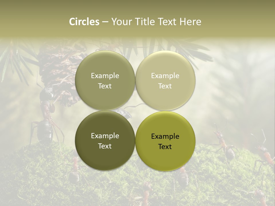 Fur Swear Tales PowerPoint Template