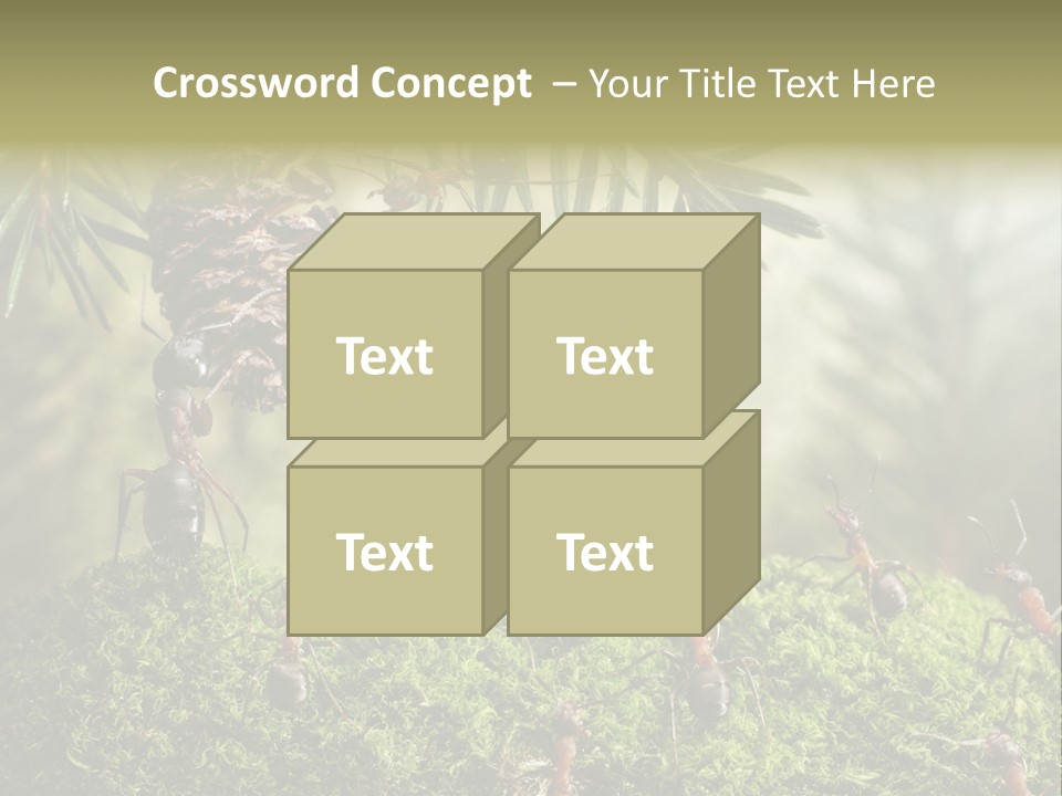 Fur Swear Tales PowerPoint Template