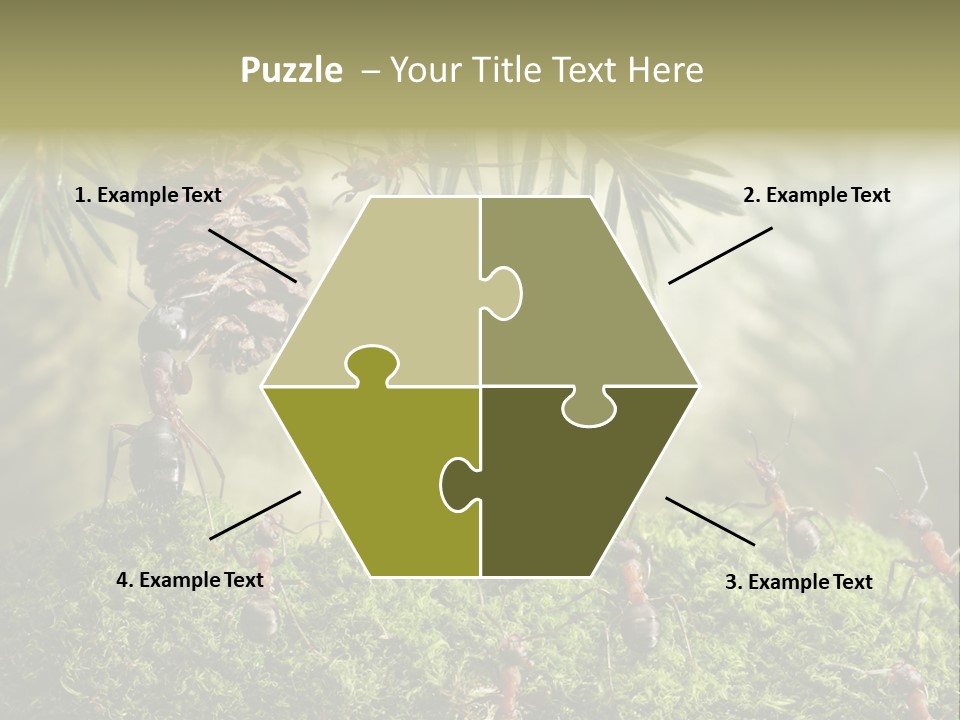 Fur Swear Tales PowerPoint Template