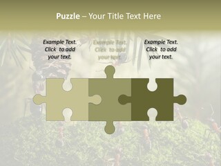 Fur Swear Tales PowerPoint Template