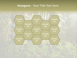 Fur Swear Tales PowerPoint Template