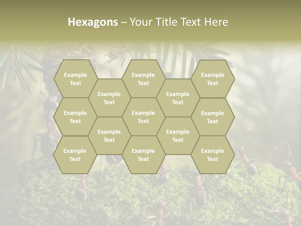 Fur Swear Tales PowerPoint Template