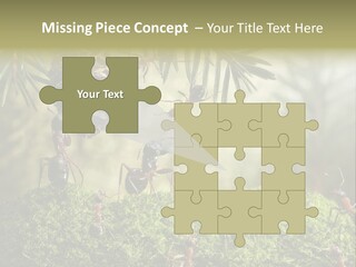 Fur Swear Tales PowerPoint Template