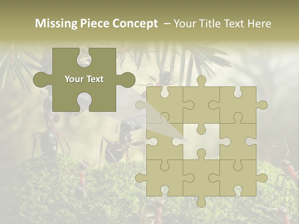 Fur Swear Tales PowerPoint Template