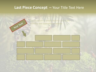 Fur Swear Tales PowerPoint Template