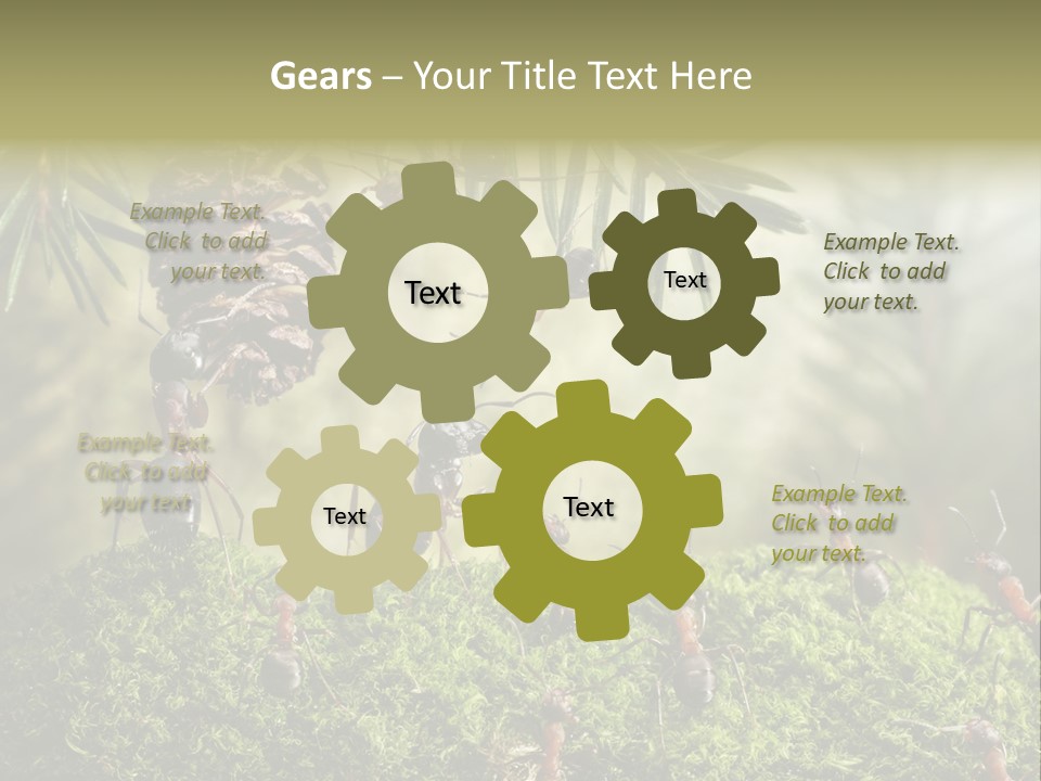 Fur Swear Tales PowerPoint Template