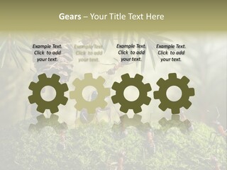 Fur Swear Tales PowerPoint Template