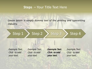 Fur Swear Tales PowerPoint Template