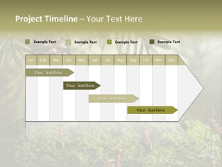 Fur Swear Tales PowerPoint Template