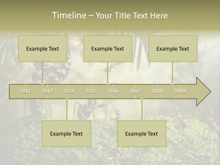 Fur Swear Tales PowerPoint Template