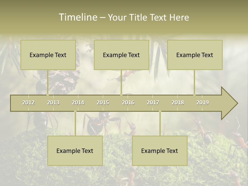 Fur Swear Tales PowerPoint Template