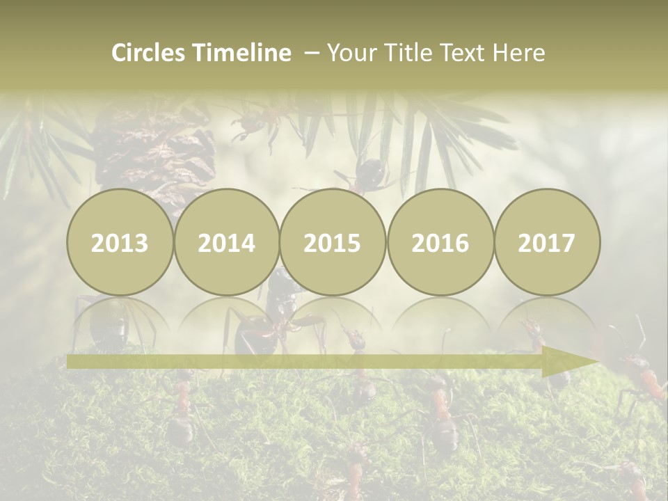 Fur Swear Tales PowerPoint Template