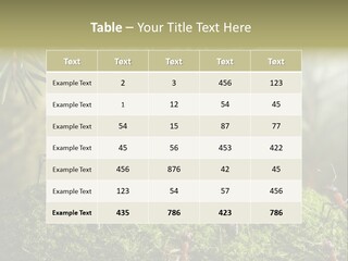 Fur Swear Tales PowerPoint Template
