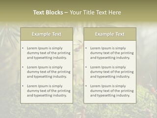 Fur Swear Tales PowerPoint Template