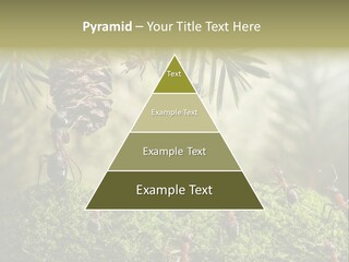 Fur Swear Tales PowerPoint Template