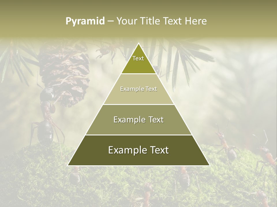 Fur Swear Tales PowerPoint Template