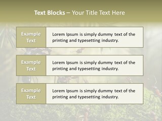 Fur Swear Tales PowerPoint Template