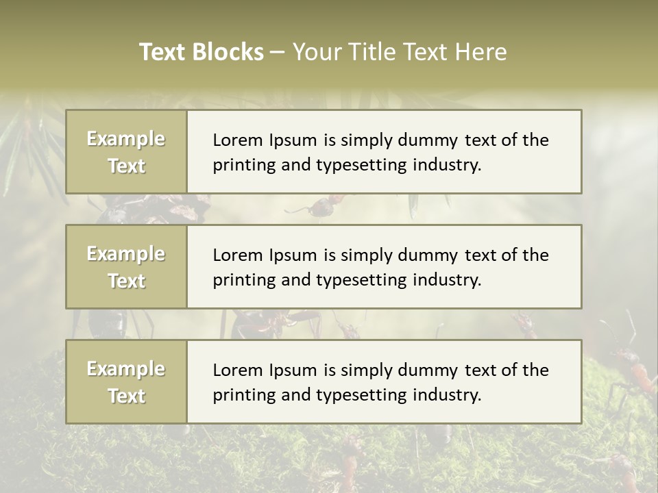 Fur Swear Tales PowerPoint Template