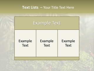 Fur Swear Tales PowerPoint Template
