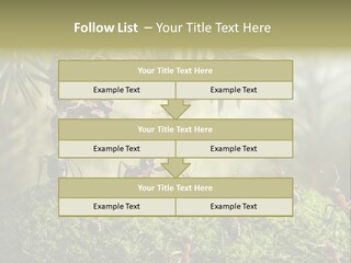 Fur Swear Tales PowerPoint Template