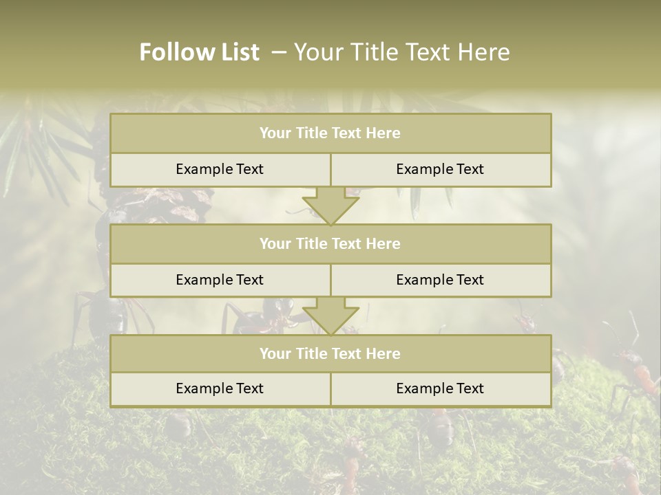 Fur Swear Tales PowerPoint Template