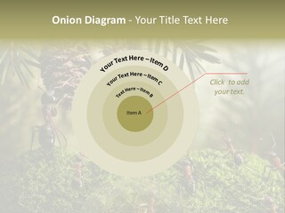 Fur Swear Tales PowerPoint Template