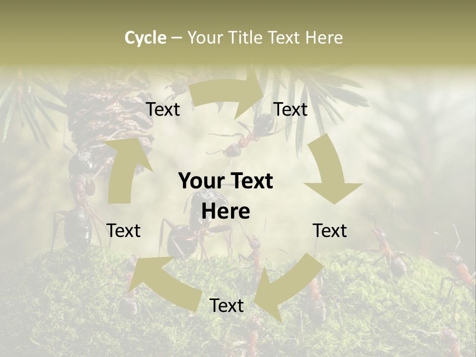 Fur Swear Tales PowerPoint Template