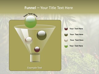 Fur Swear Tales PowerPoint Template